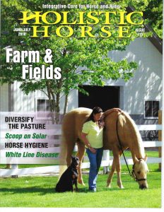 Holistic Horse magazine article on solar