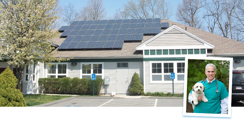 Solar panels for business Case Study: Acorn Animal Hospital