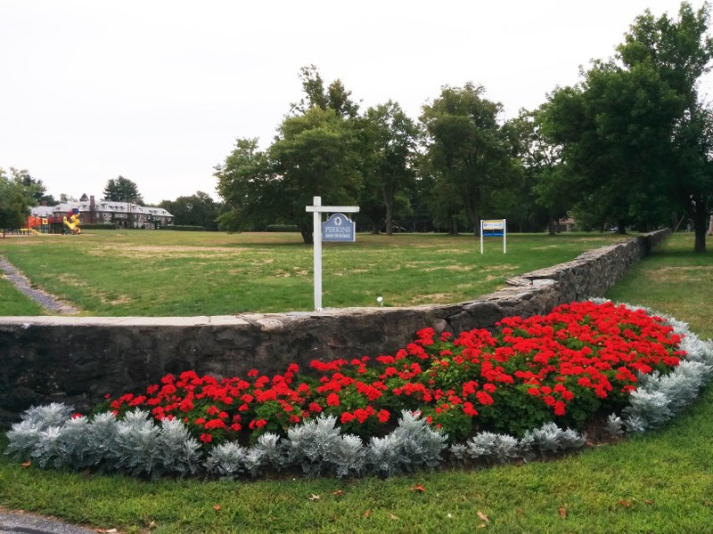 IMG_20160831_100049_edited_800x600