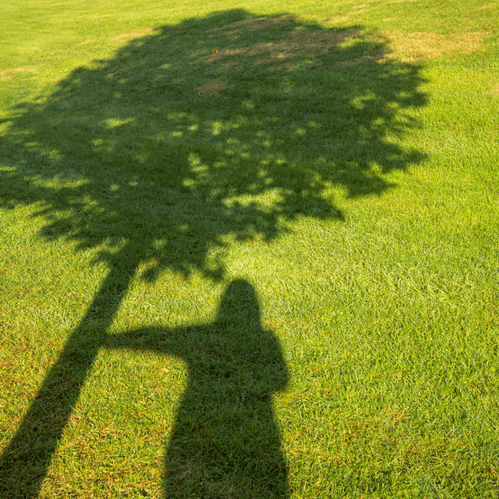 drawbacks downside of solar