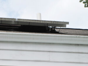 img_5941-qpr-lightened