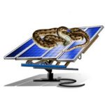 snake on panel