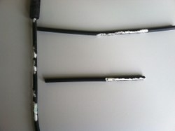 squirrel damage 2_250x187