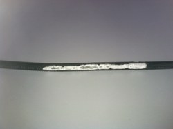 squirrel damage 3_250x187